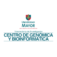 08_mayor